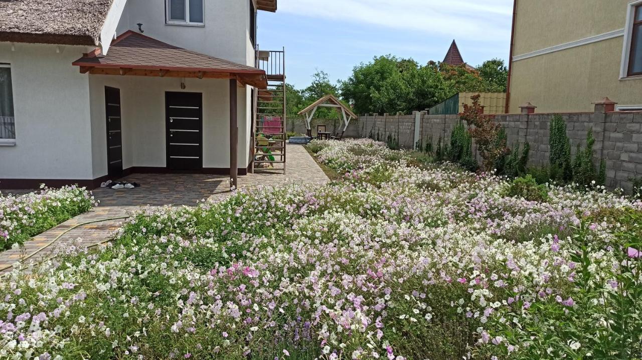 Eco House Otel Çornomorsk Dış mekan fotoğraf